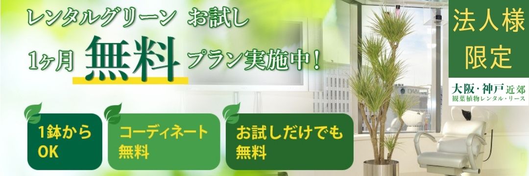 百年緑化キャンペーン