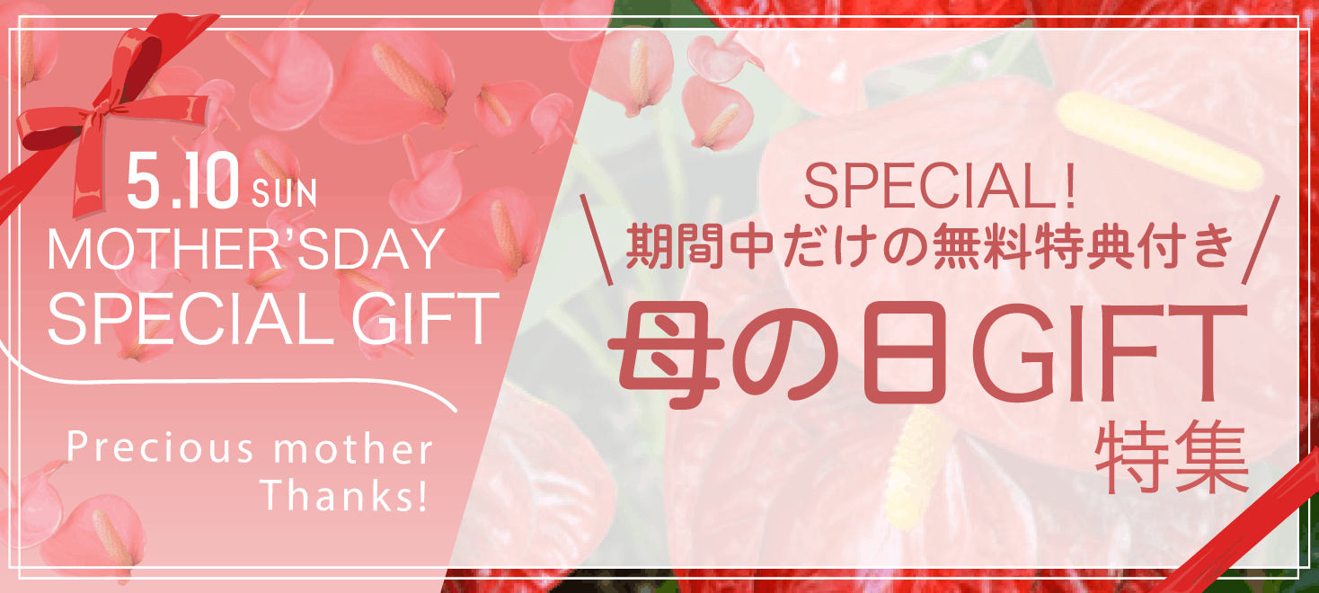 母の日特集