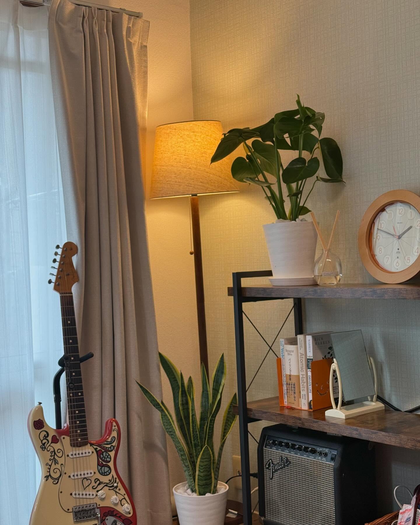 Instagramお客様の観葉植物設置例ご紹介