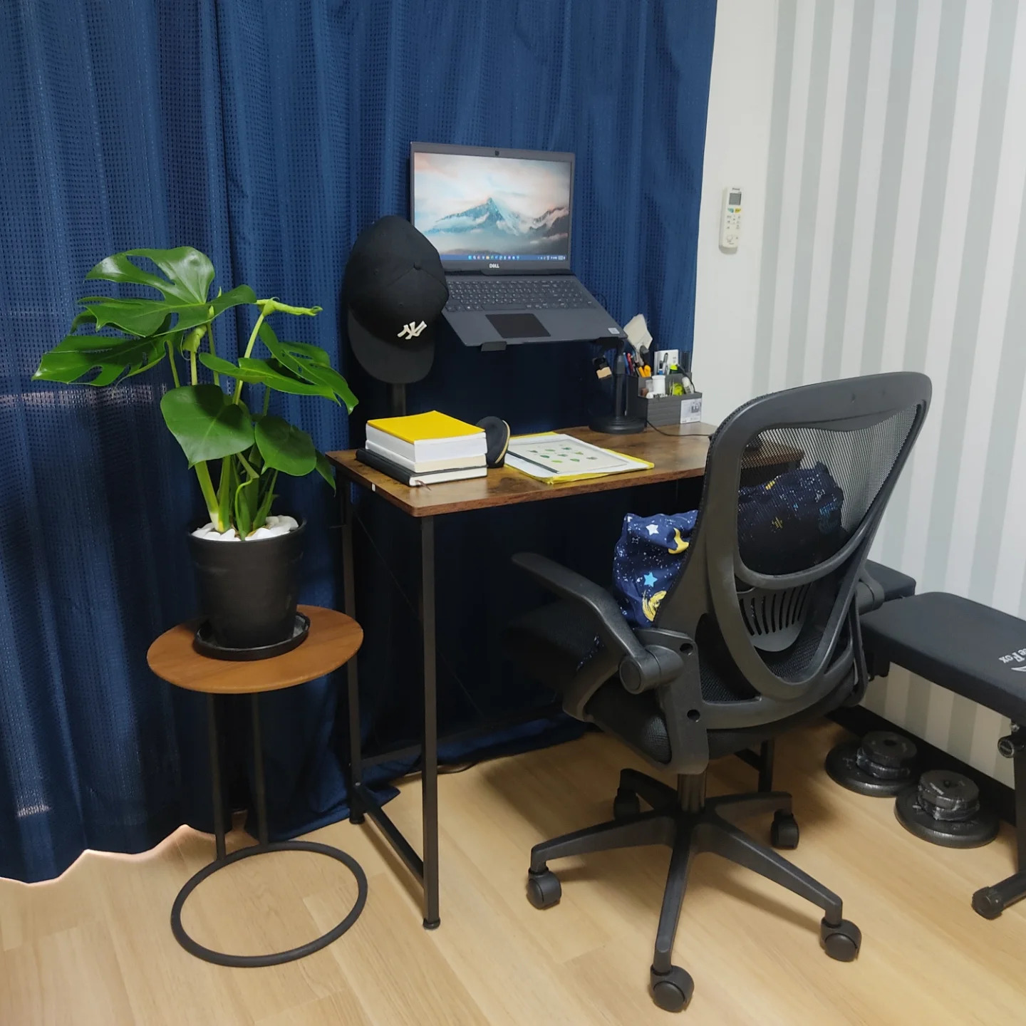 Instagramお客様の観葉植物設置例ご紹介