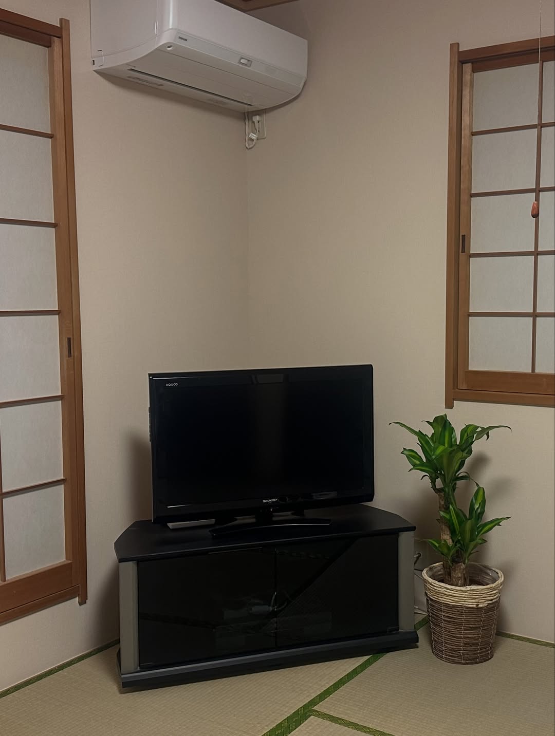 Instagramお客様の観葉植物設置例ご紹介