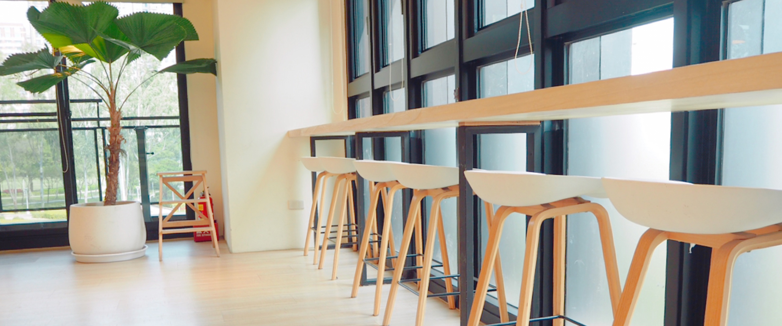 飲食店・カフェに置く観葉植物