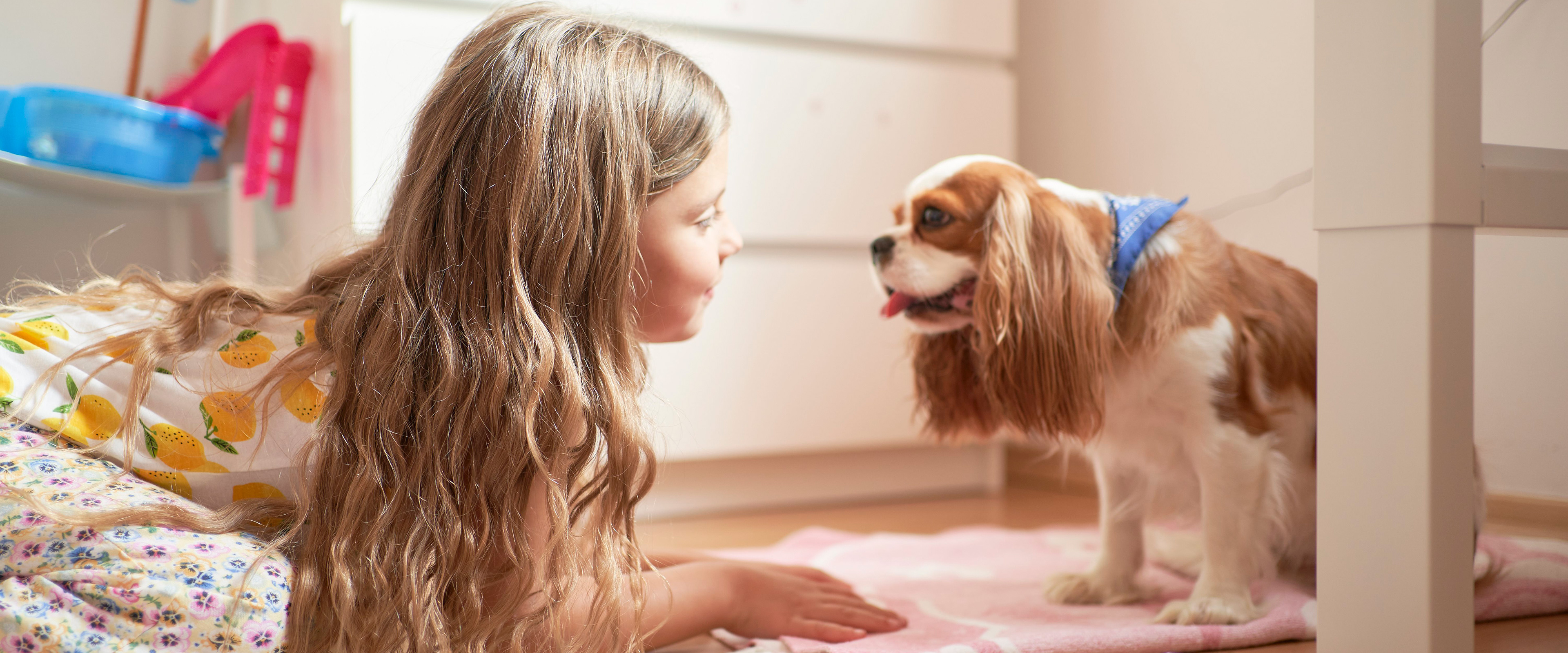子供部屋・ペットスペースに置く観葉植物
