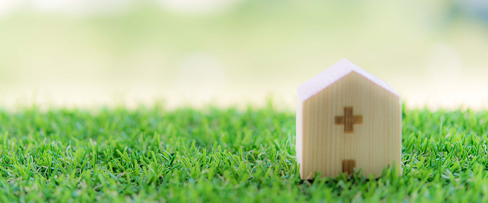 退院祝いにおすすめの観葉植物