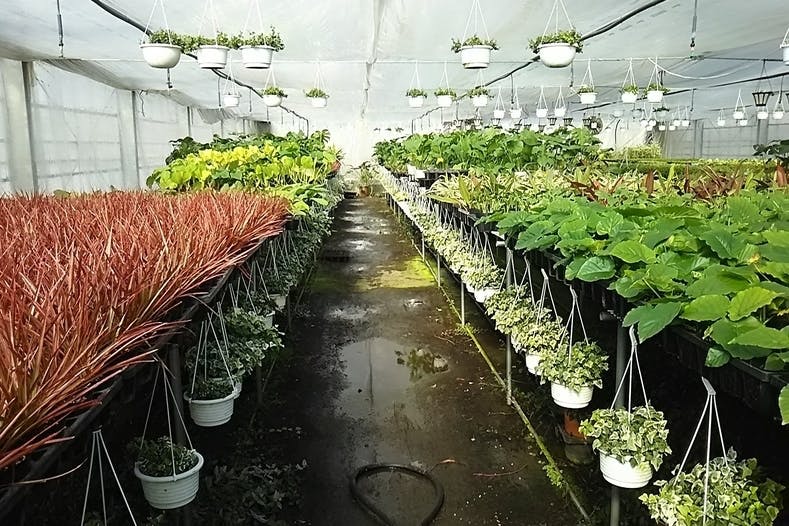 エコグリーンヒガシ