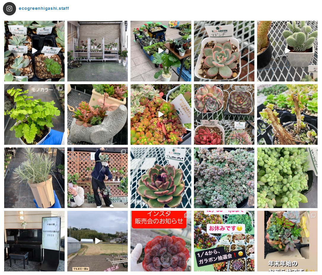 エコグリーンヒガシ