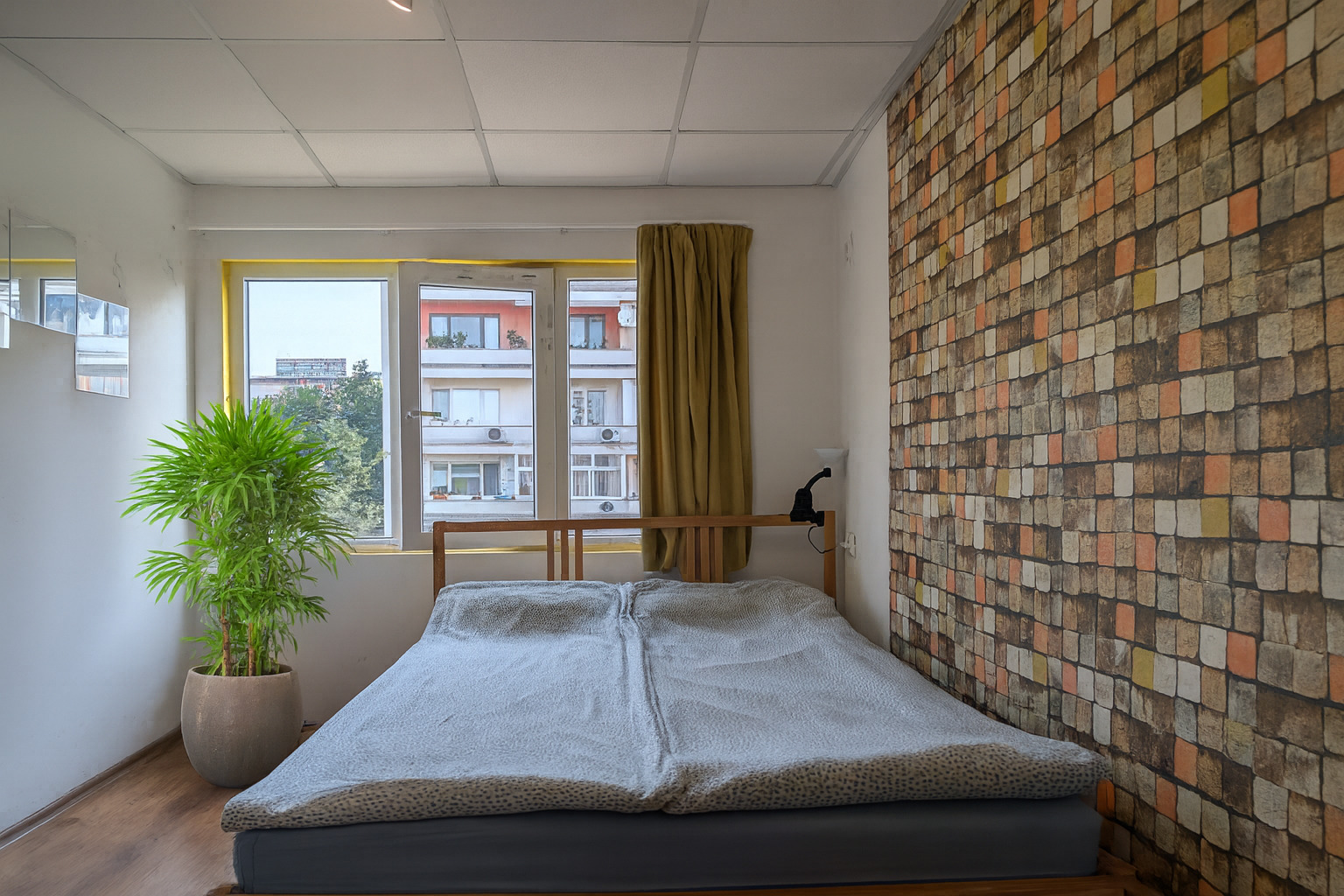 寝室におすすめの観葉植物