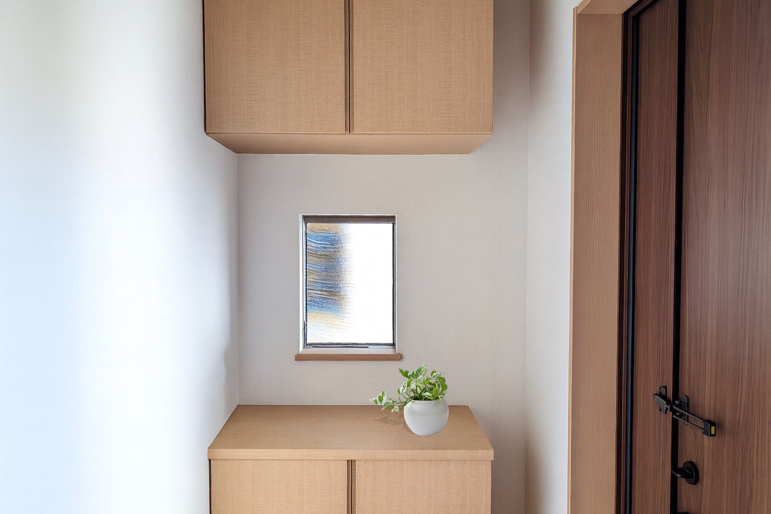 玄関におすすめの観葉植物