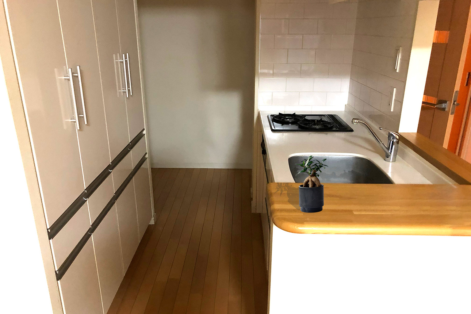 台所（キッチン）におすすめの観葉植物