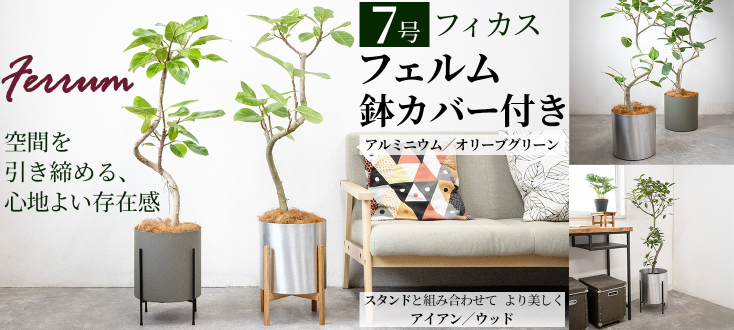 フェルム鉢カバー付き