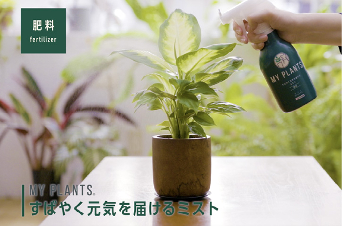 すばやく元気を届けるミスト