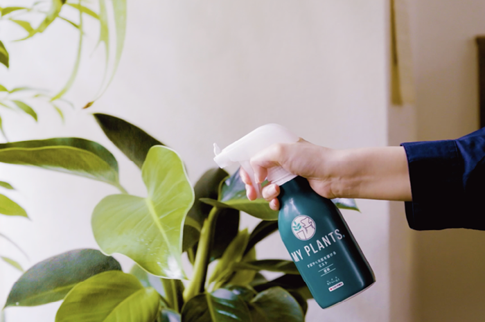 すばやく元気を届けるミスト