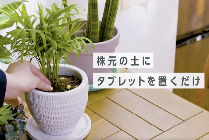 長く丈夫に育てるタブレット