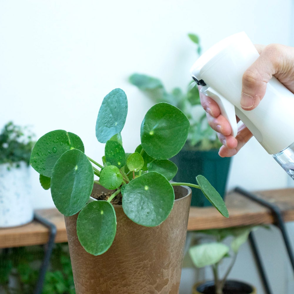 Fineミストスプレー