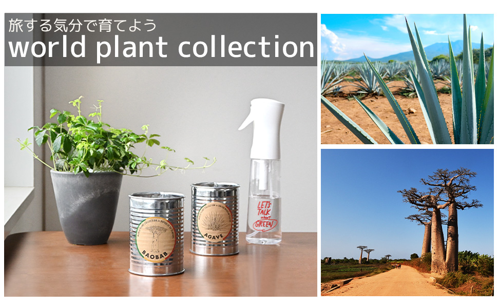 世界の植物 栽培セット