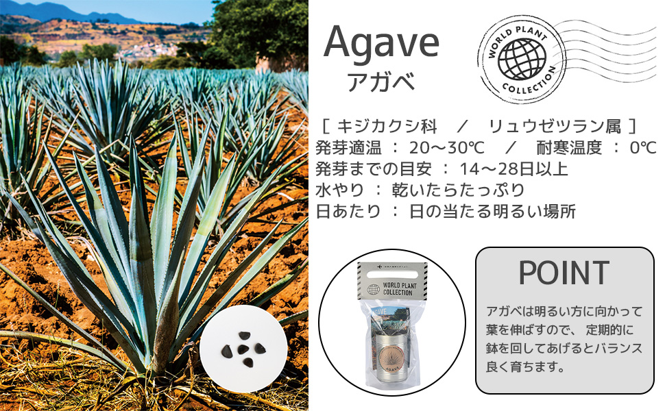 世界の植物 栽培セット