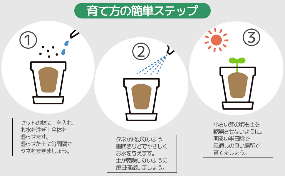 世界の植物 栽培セット