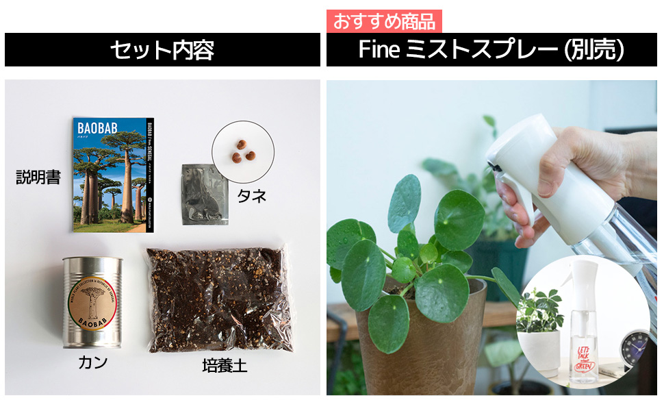 世界の植物 栽培セット