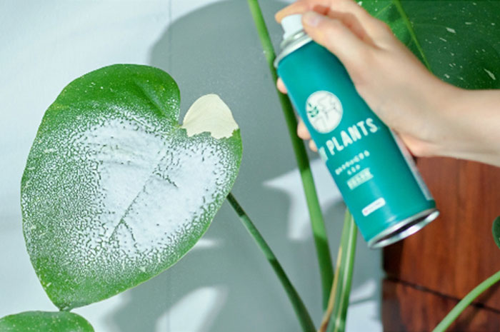 葉をきれいにするミスト