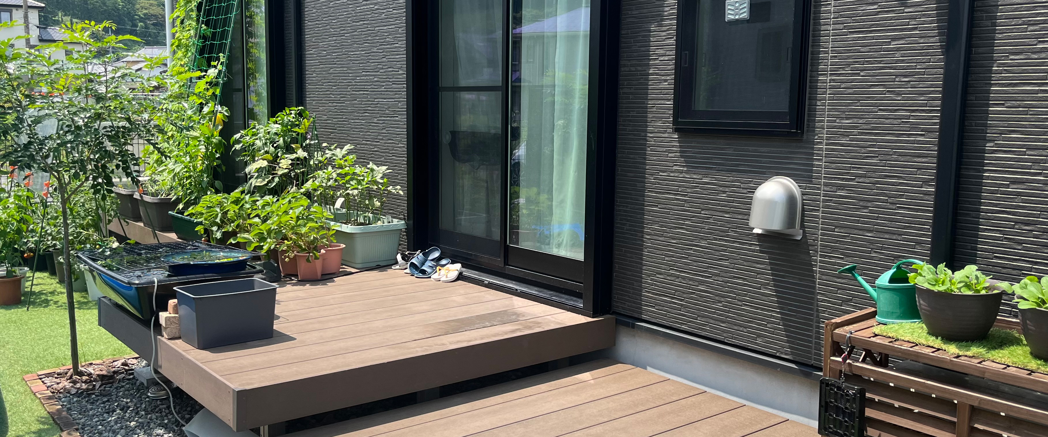 屋外に置く観葉植物