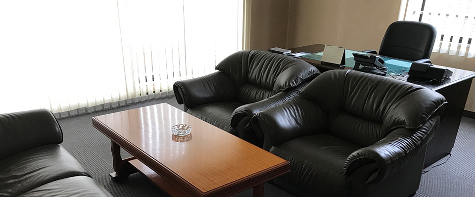 就任祝いにおすすめの観葉植物