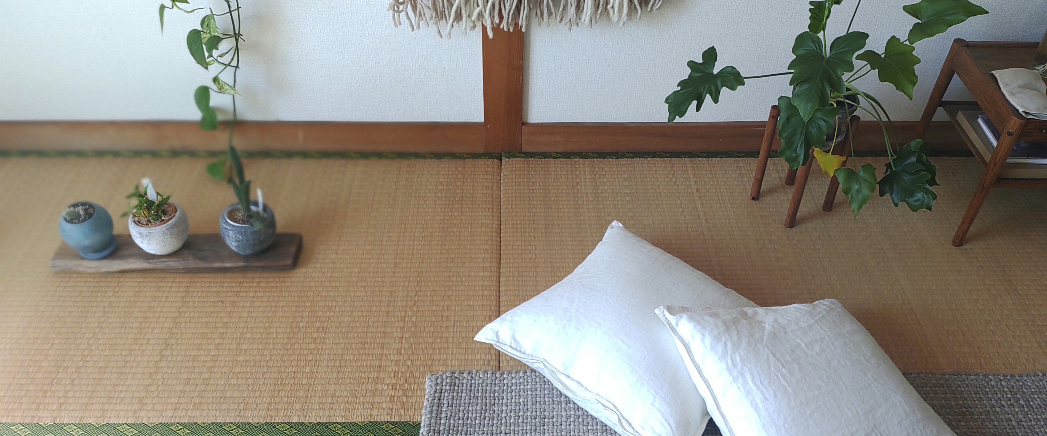 和室に置く観葉植物