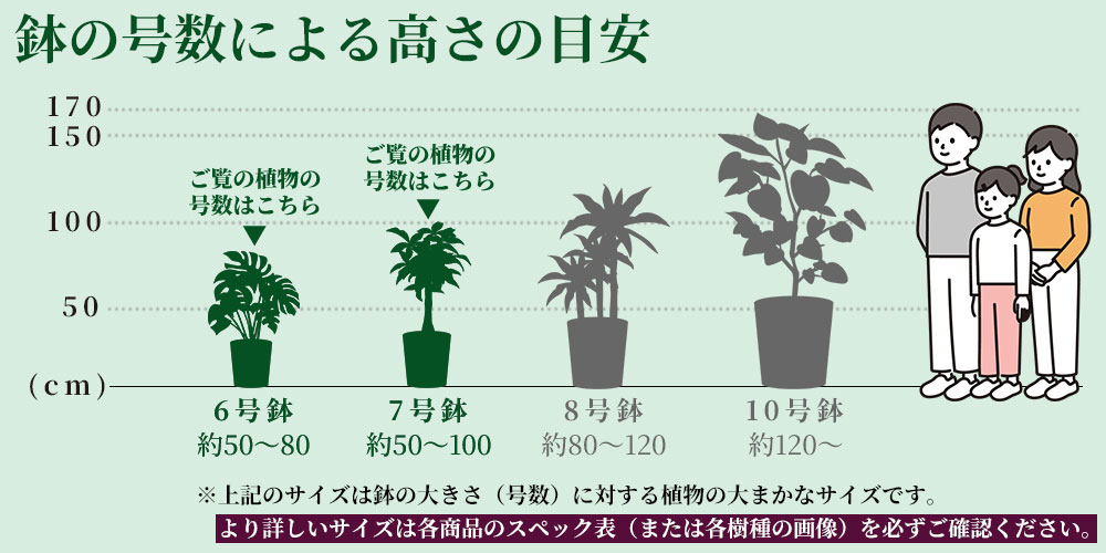 高さの目安（6号7号）
