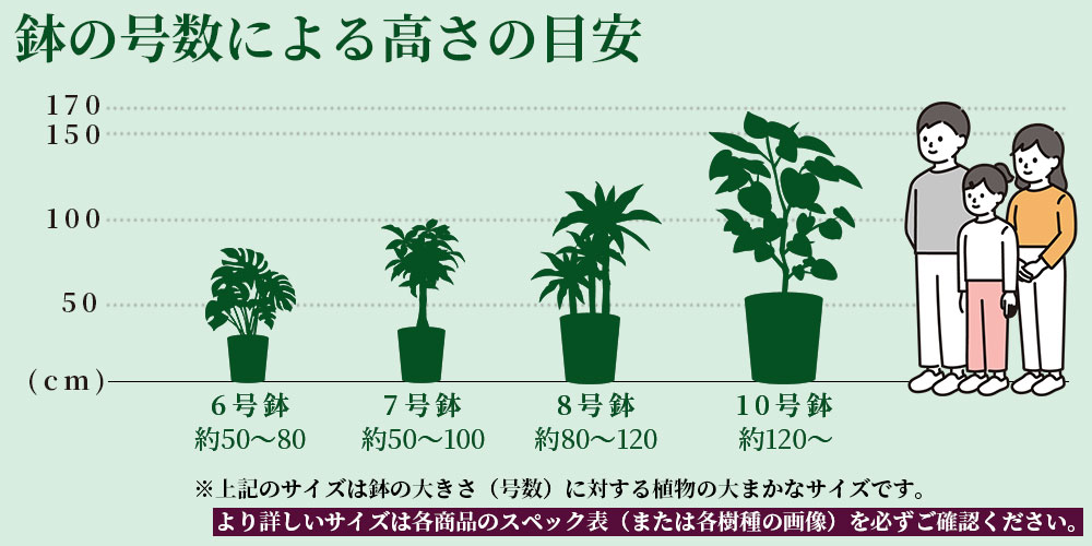 鉢の号数による高さの目安