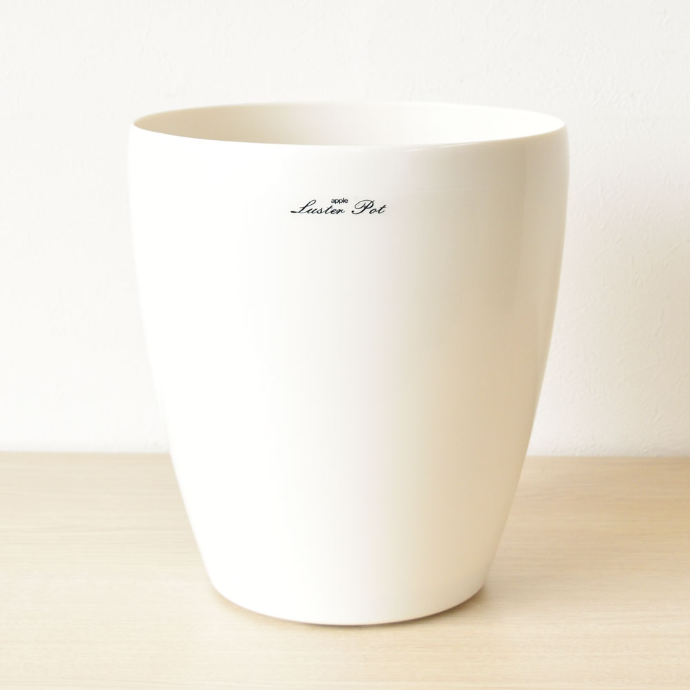 ラスターポット