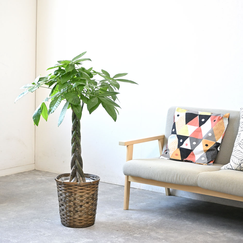 キャラメルブラウン