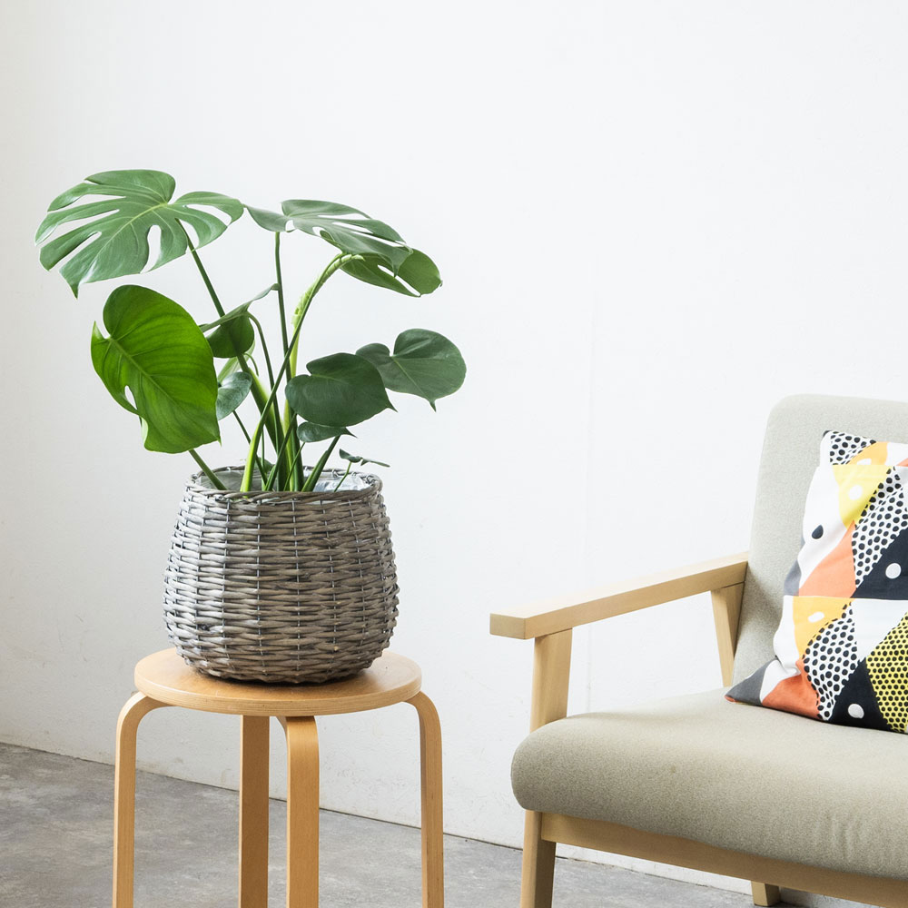 ボールバスケット