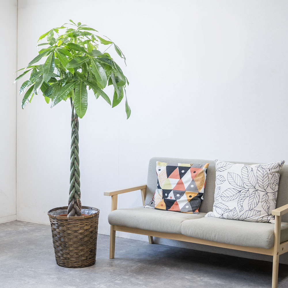 キャラメルブラウン