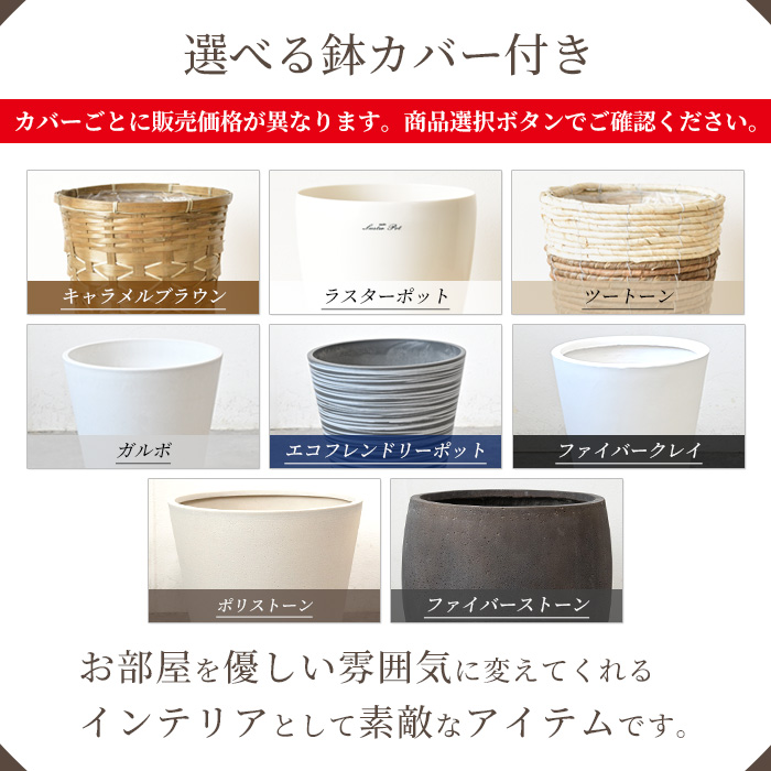 選べる鉢カバー
