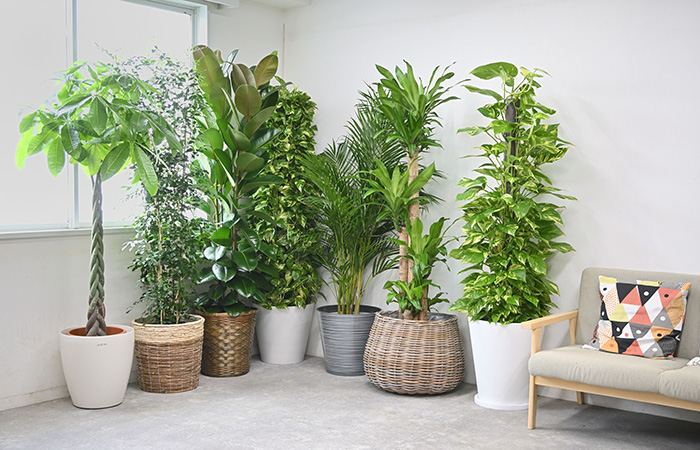 選べる鉢カバー