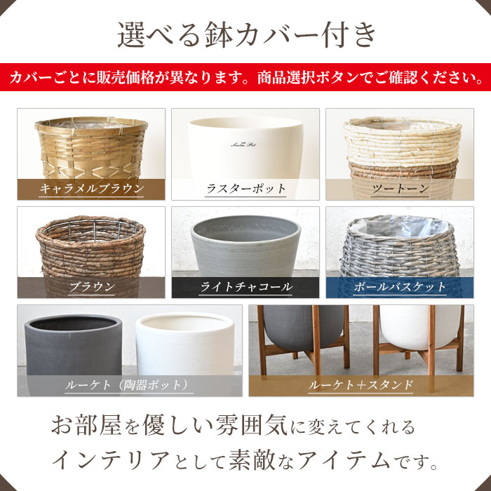 選べる鉢カバー