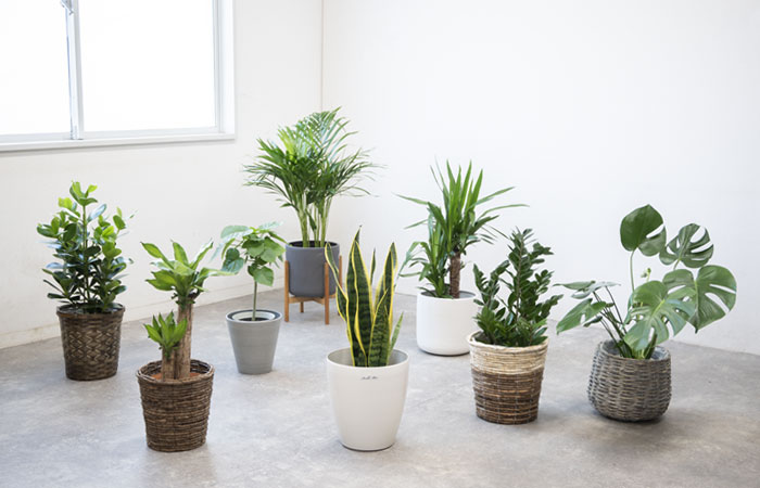 選べる鉢カバー