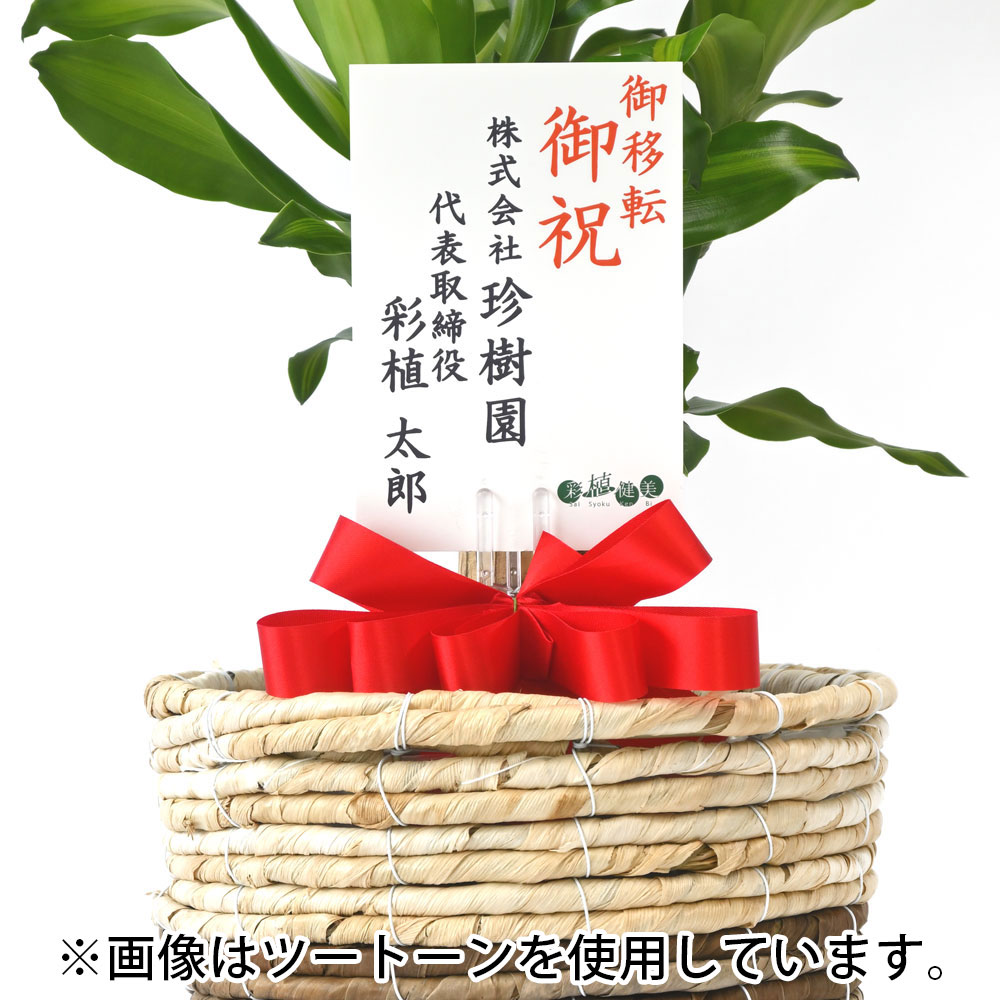 幸福の木 