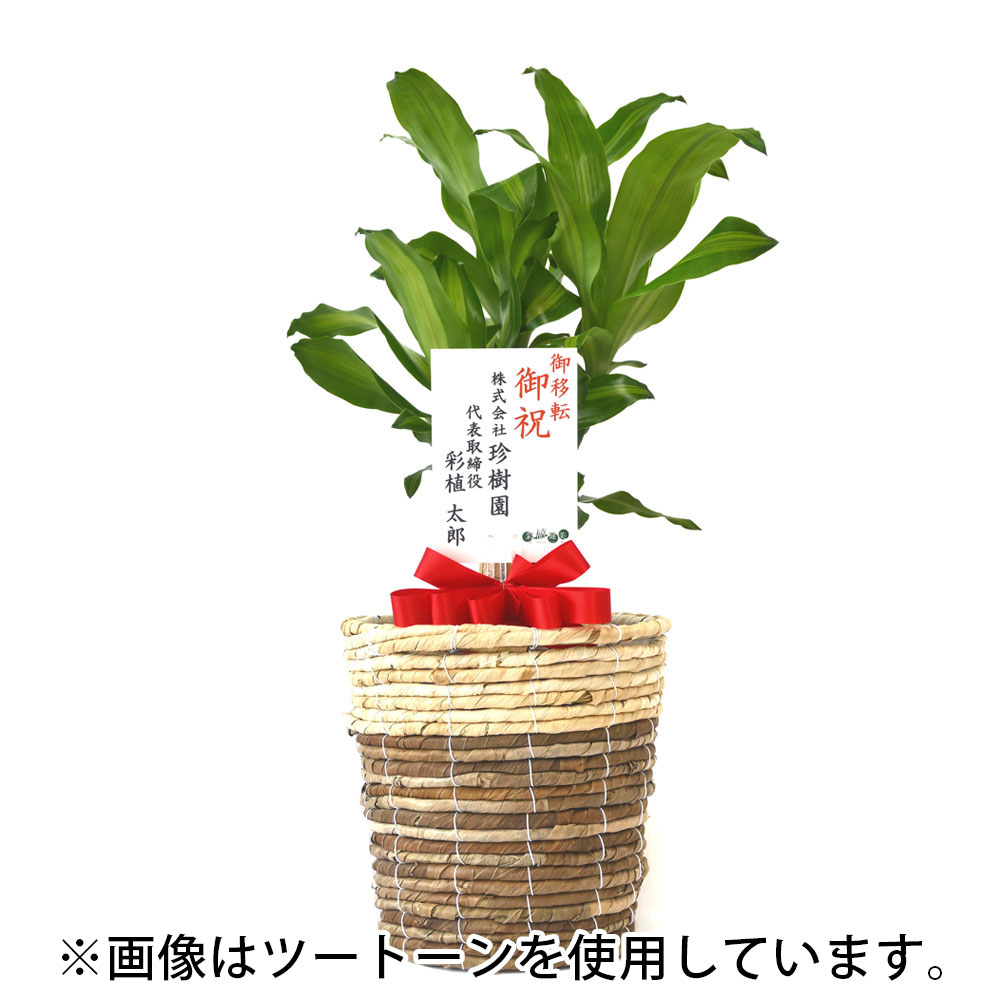幸福の木