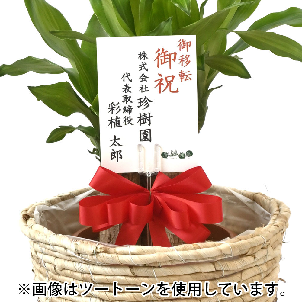 幸福の木 