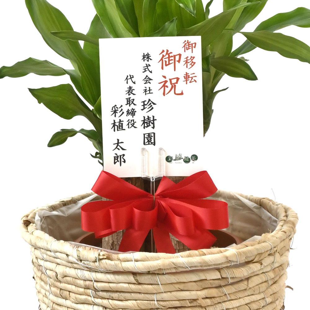 幸福の木 