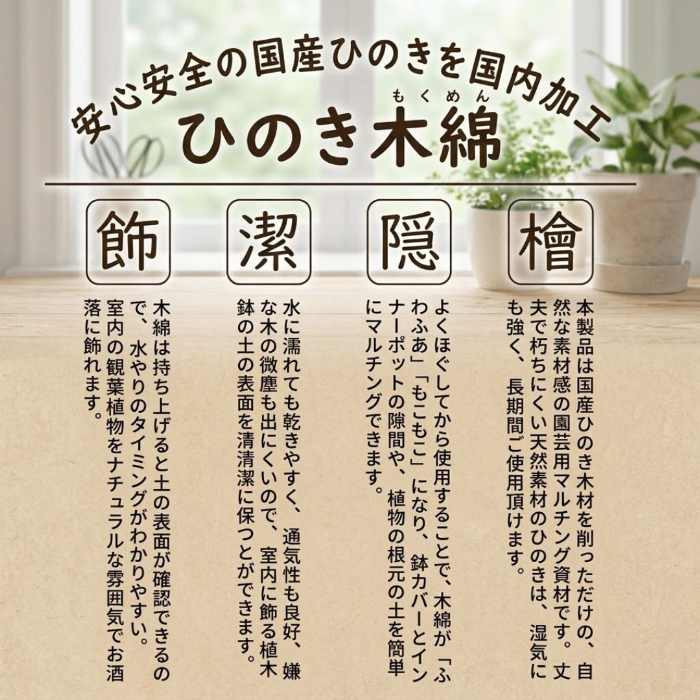モンステラ 全体