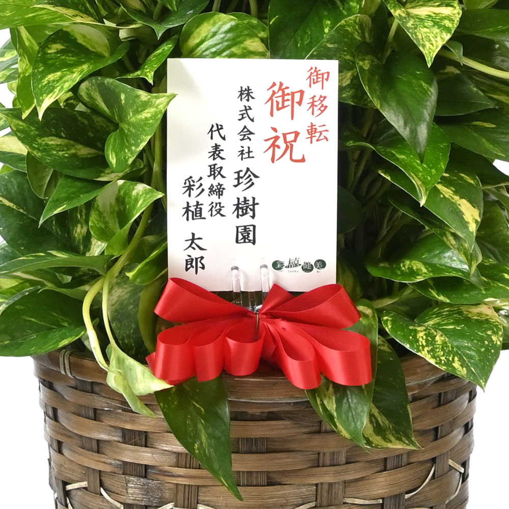 ポトスタワー 