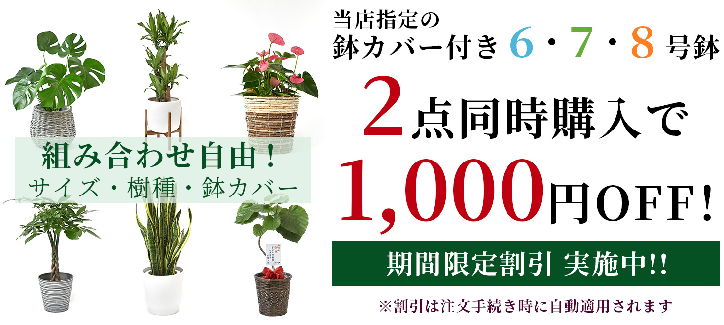 2点同時購入で1,000円引き