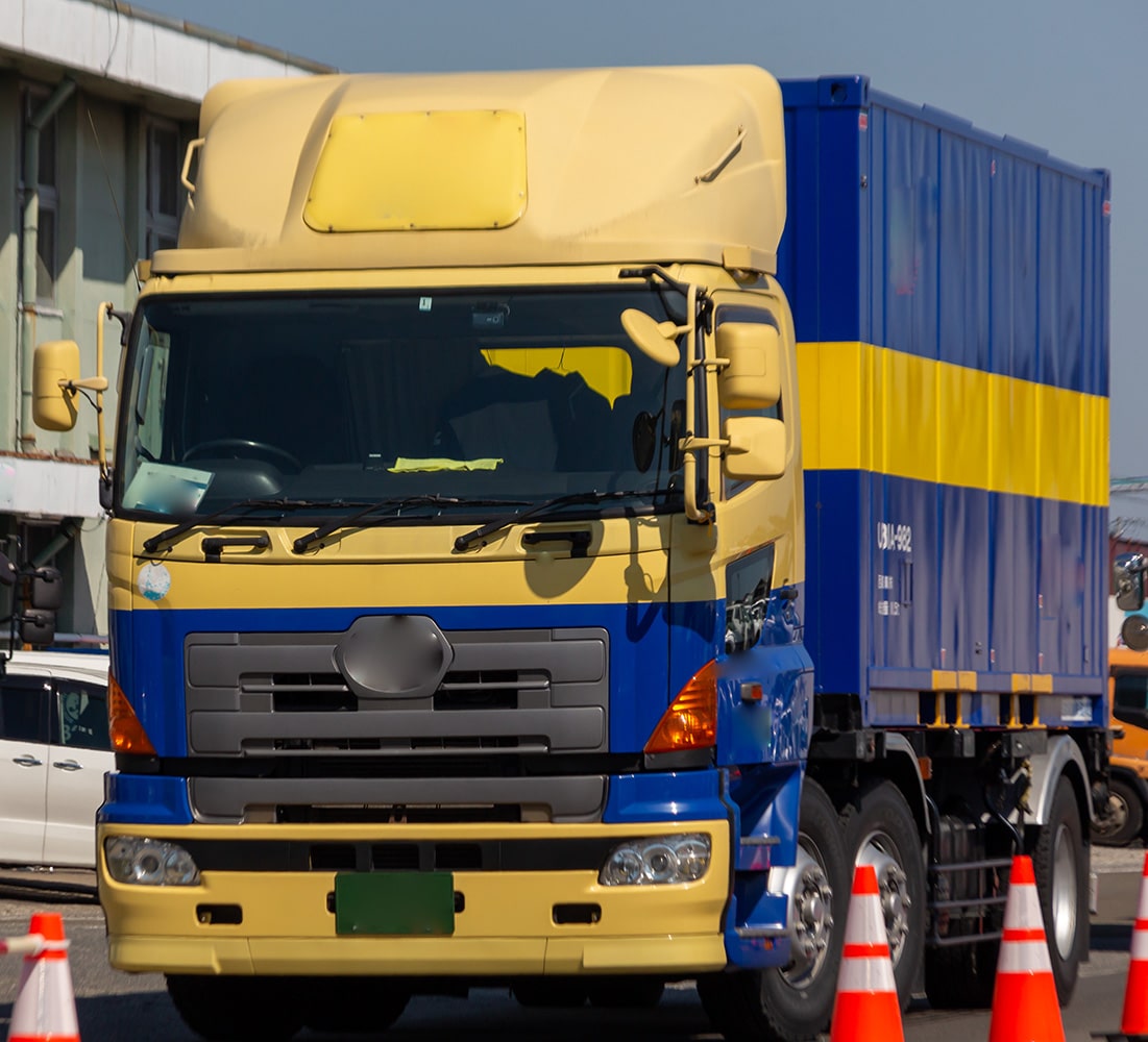 観葉植物 販売 通販 