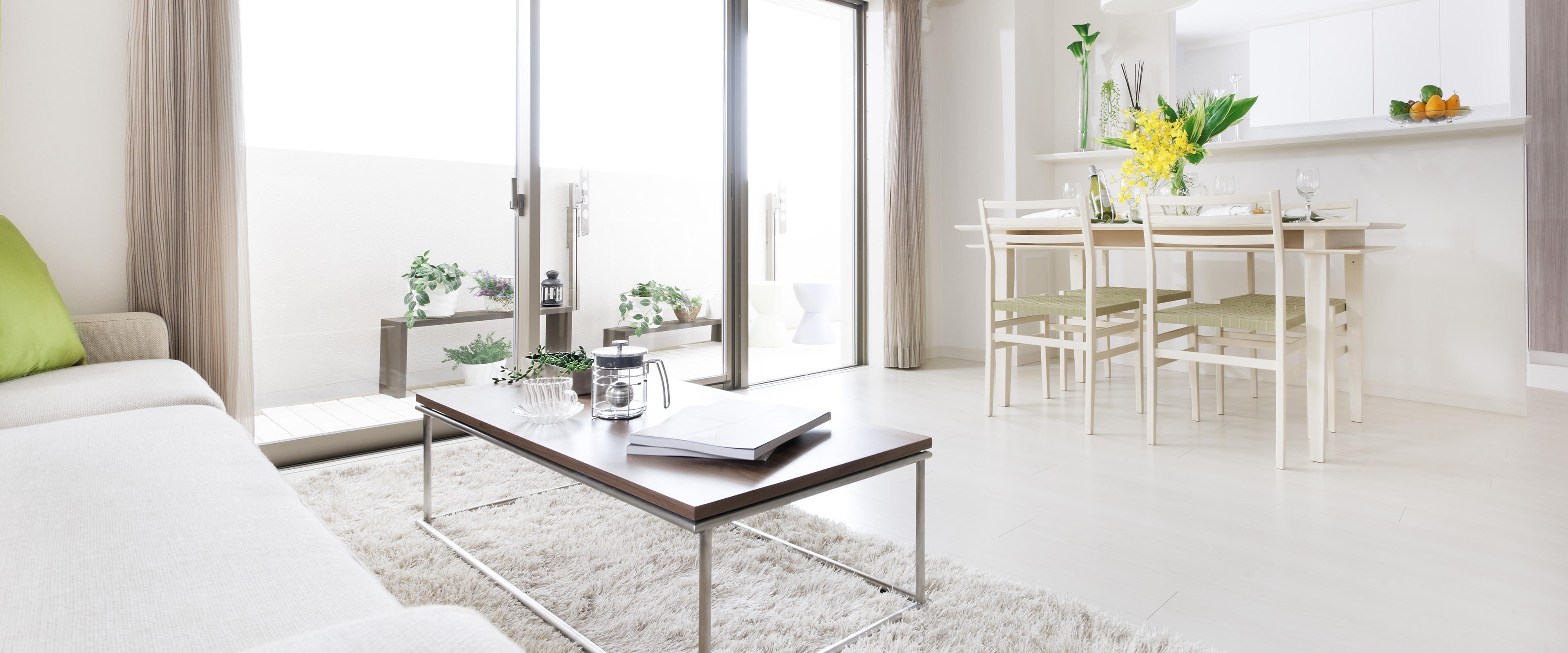 居間（リビング）・ダイニングに置く観葉植物