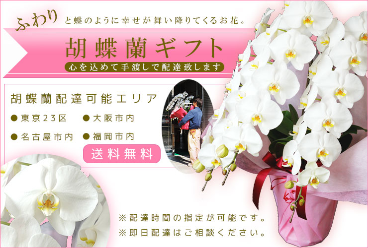 胡蝶蘭の配達 11時までのご注文 即日配達 しかも！送料無料 ※平日のみ月～金（土日、年末年始除く） ※配達日時の指定も可能です。 胡蝶蘭の配達地域 東京23区 大阪市内 名古屋市内 福岡市内 ※福岡は即日配達対象外ですが、ご注文は承ります。商品は、配送スタッフが丁寧に手渡しでお届けいたします。
