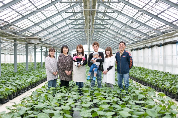 マルヨシグリーン