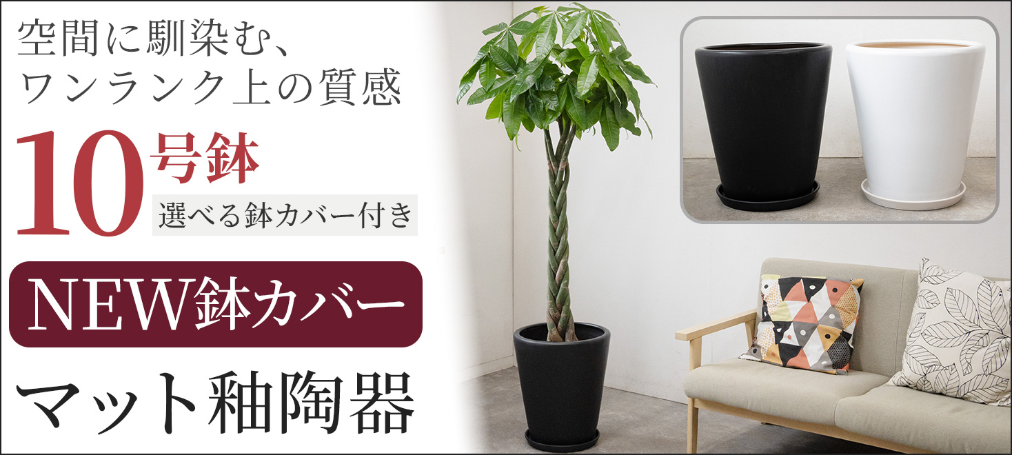 マット釉陶器鉢カバー