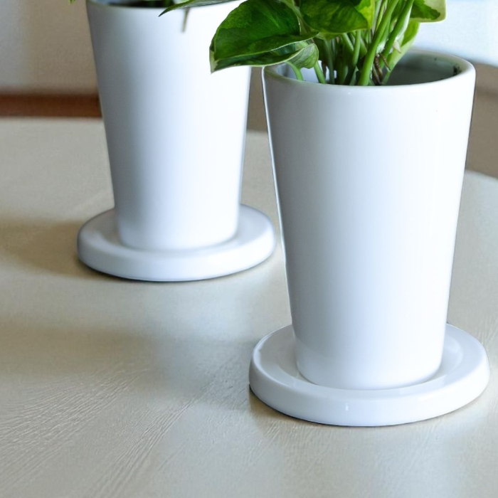 ポトス・エメラルド