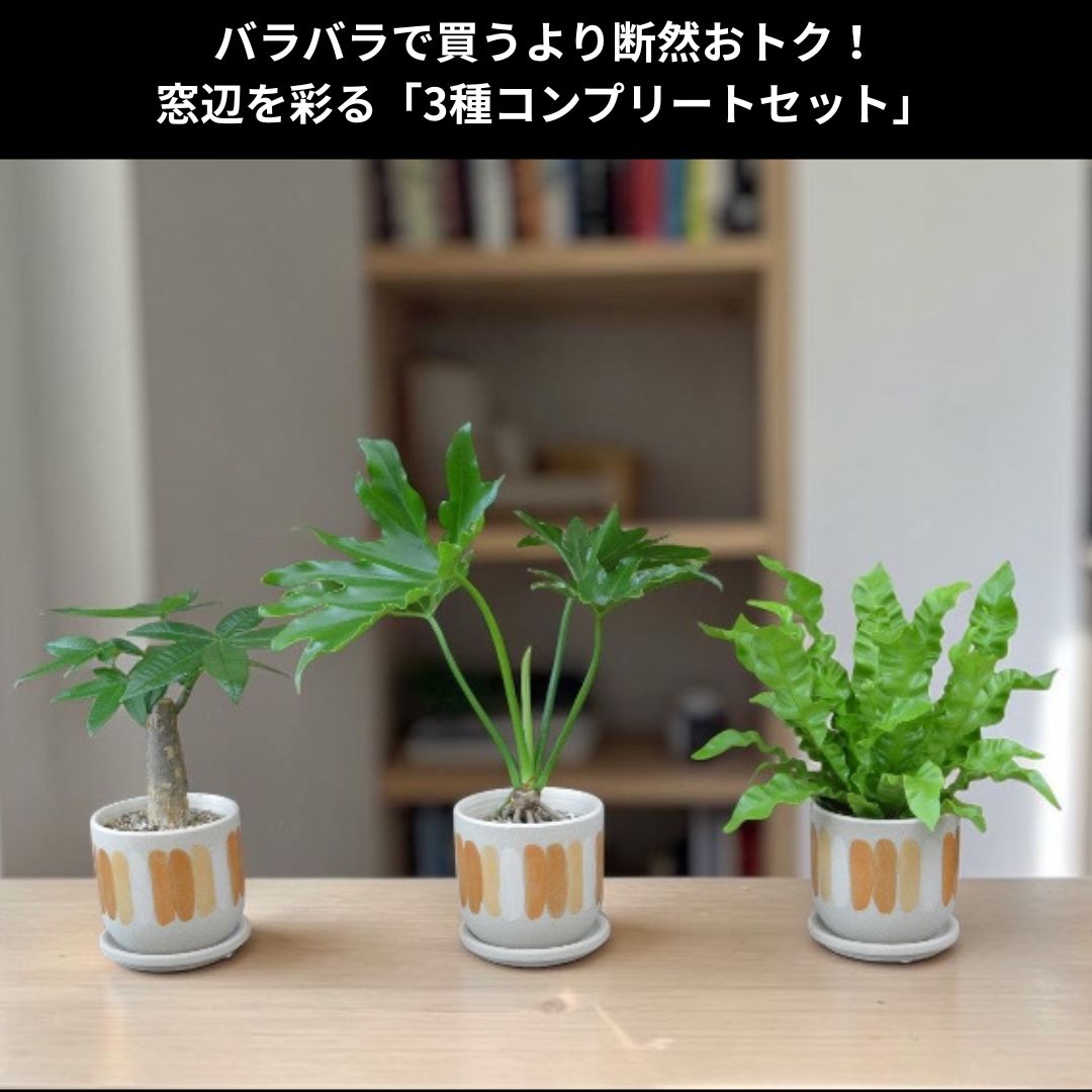 ポット サイズ計測 高さ